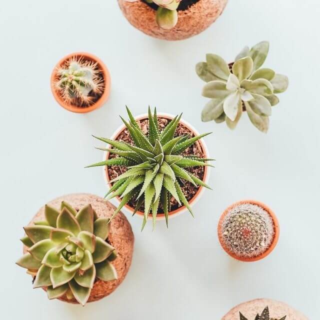 24253999 1232637293546789 49577778160336896 Nfull 1